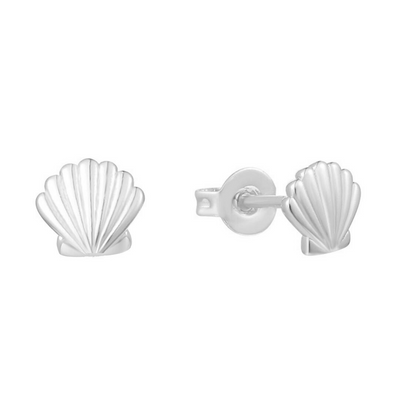 Seashell Earrings